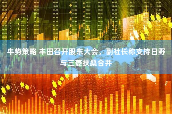 牛势策略 丰田召开股东大会，副社长称支持日野与三菱扶桑合并