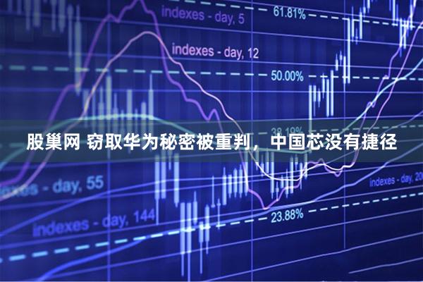 股巢网 窃取华为秘密被重判，中国芯没有捷径