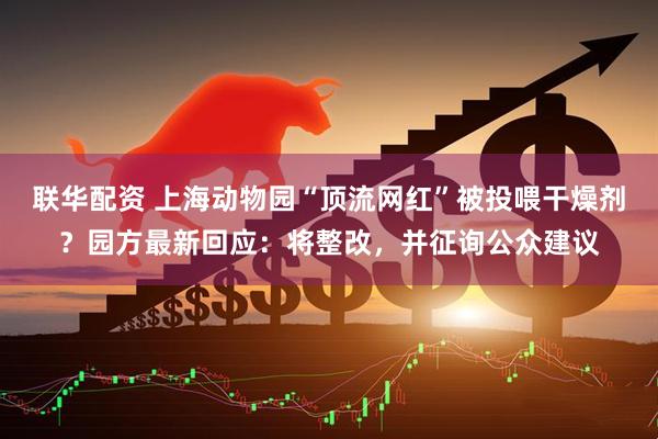 联华配资 上海动物园“顶流网红”被投喂干燥剂？园方最新回应：将整改，并征询公众建议