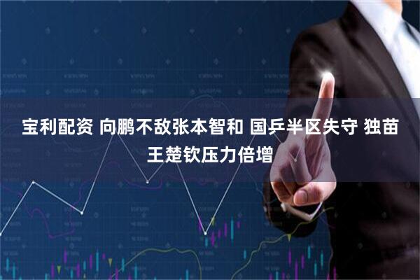 宝利配资 向鹏不敌张本智和 国乒半区失守 独苗王楚钦压力倍增