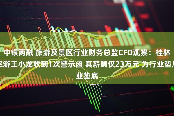 中银两融 旅游及景区行业财务总监CFO观察：桂林旅游王小龙收到1次警示函 其薪酬仅23万元 为行业垫底
