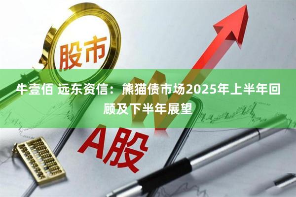 牛壹佰 远东资信：熊猫债市场2025年上半年回顾及下半年展望