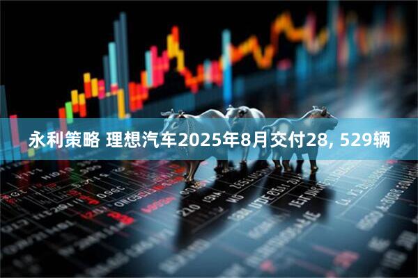 永利策略 理想汽车2025年8月交付28, 529辆