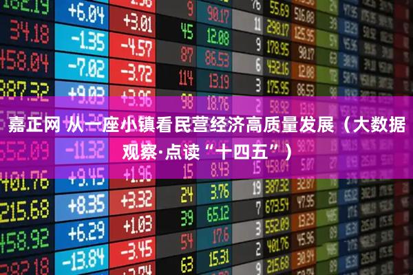 嘉正网 从一座小镇看民营经济高质量发展(大数据观察·点读“十四五”)